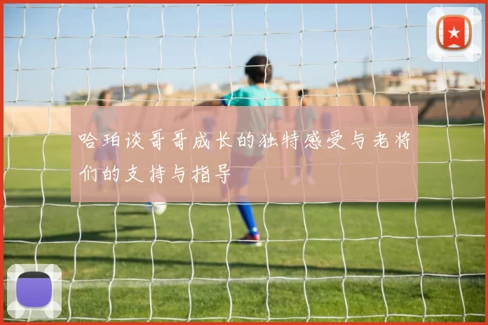 哈珀谈哥哥成长的独特感受与老将们的支持与指导